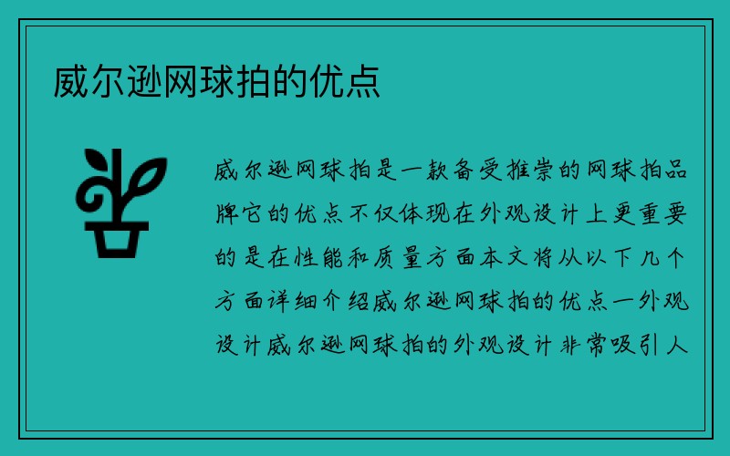 威尔逊网球拍的优点