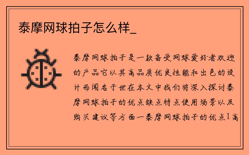 泰摩网球拍子怎么样_