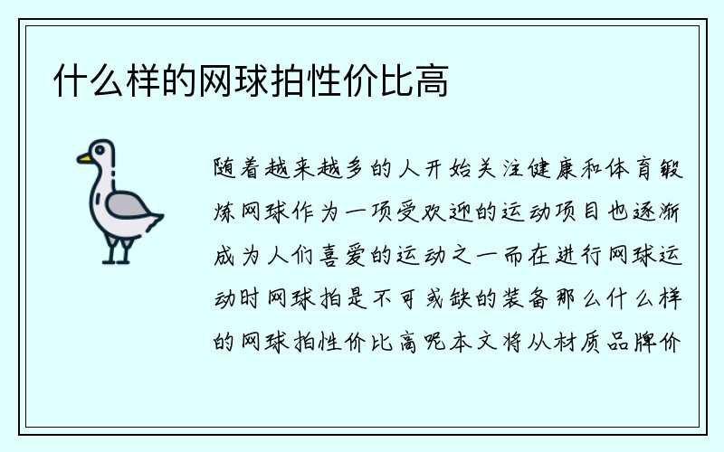 什么样的网球拍性价比高